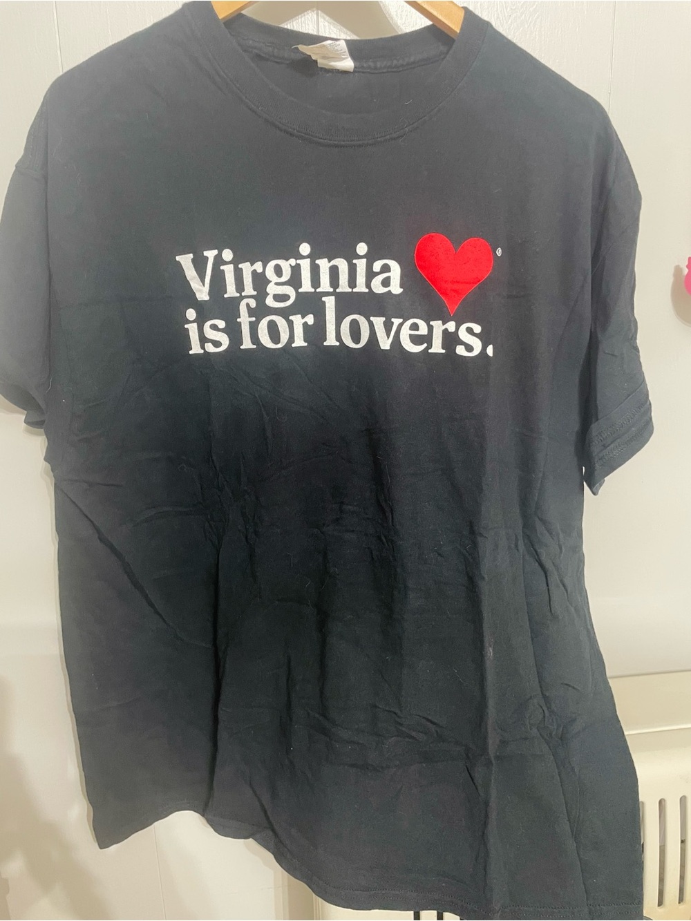 Gildan Black 'Virginia is for lovers' T-Shirt with Red Heart